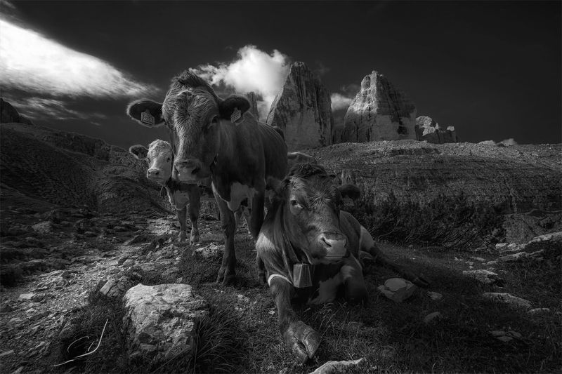 Tre Cime Lavaredo фото превью