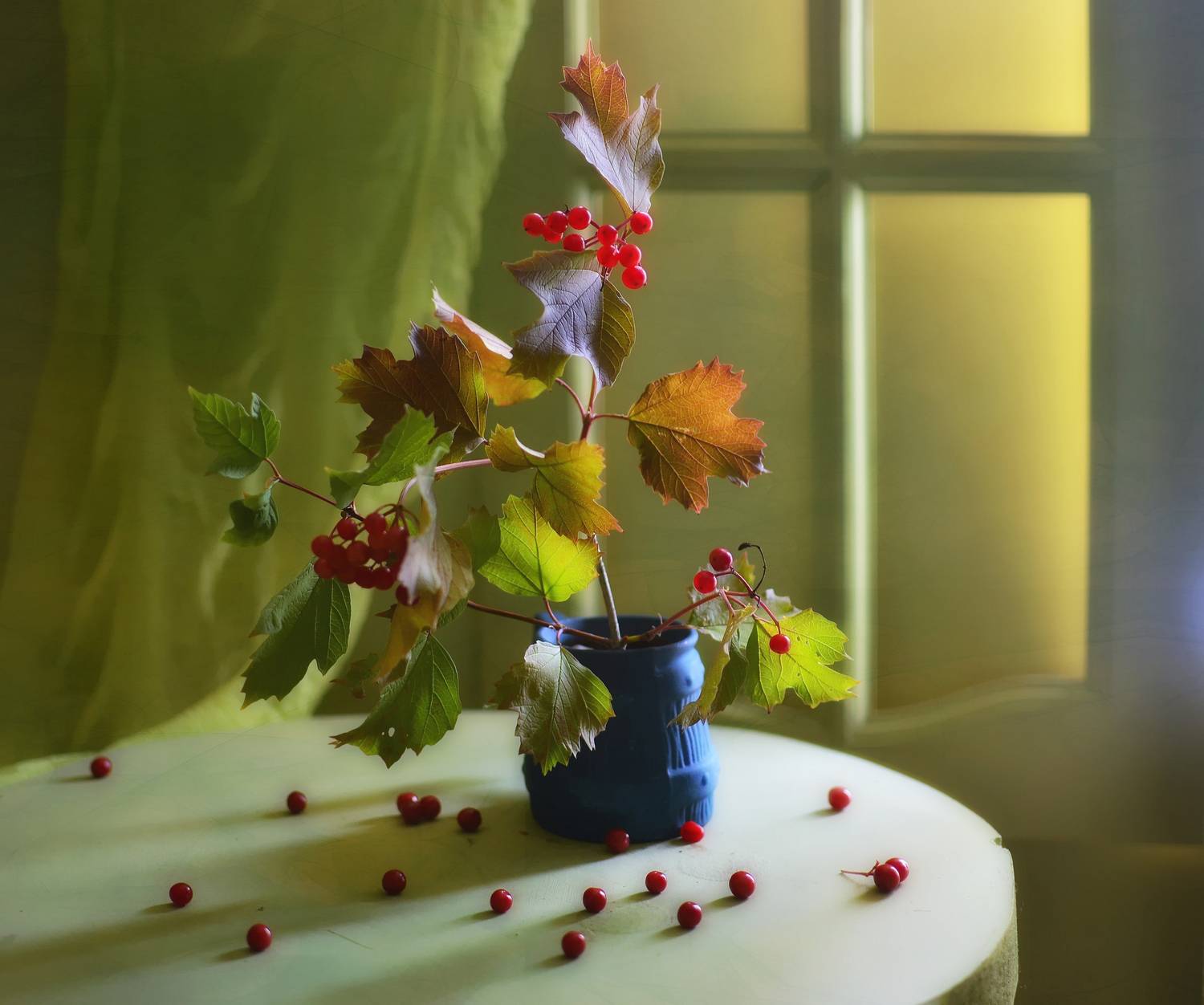 натюрморт,композиция,свет,лето,букет,калина, Инаида