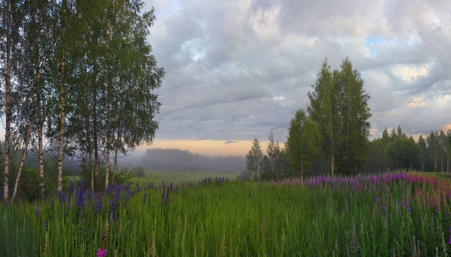 лето, утро, Александр Свистков