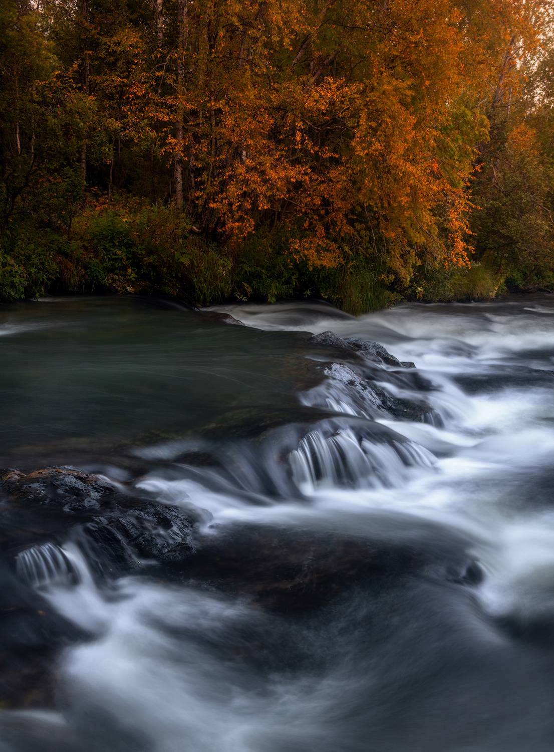 , Истомин Виталий
