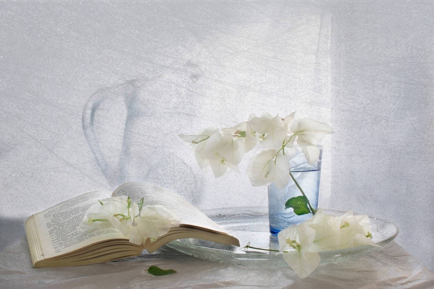 , Людмила Бекман