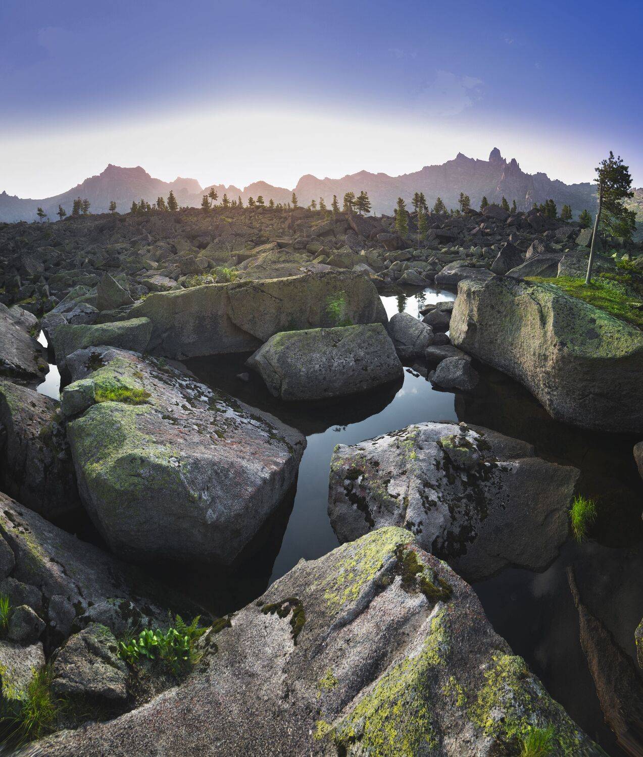 , Антонов Антон