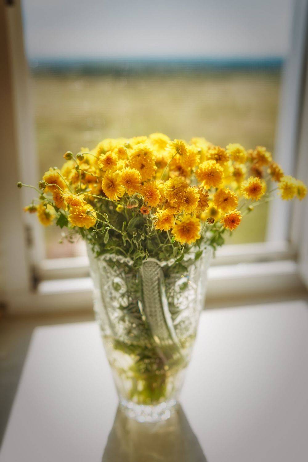 , Алексей Вольтов