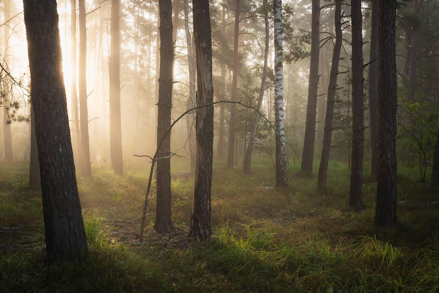 , Захаров Дмитрий
