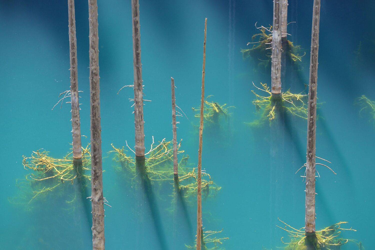 казахстан каинды джетысу, Кутыгин Эдуард