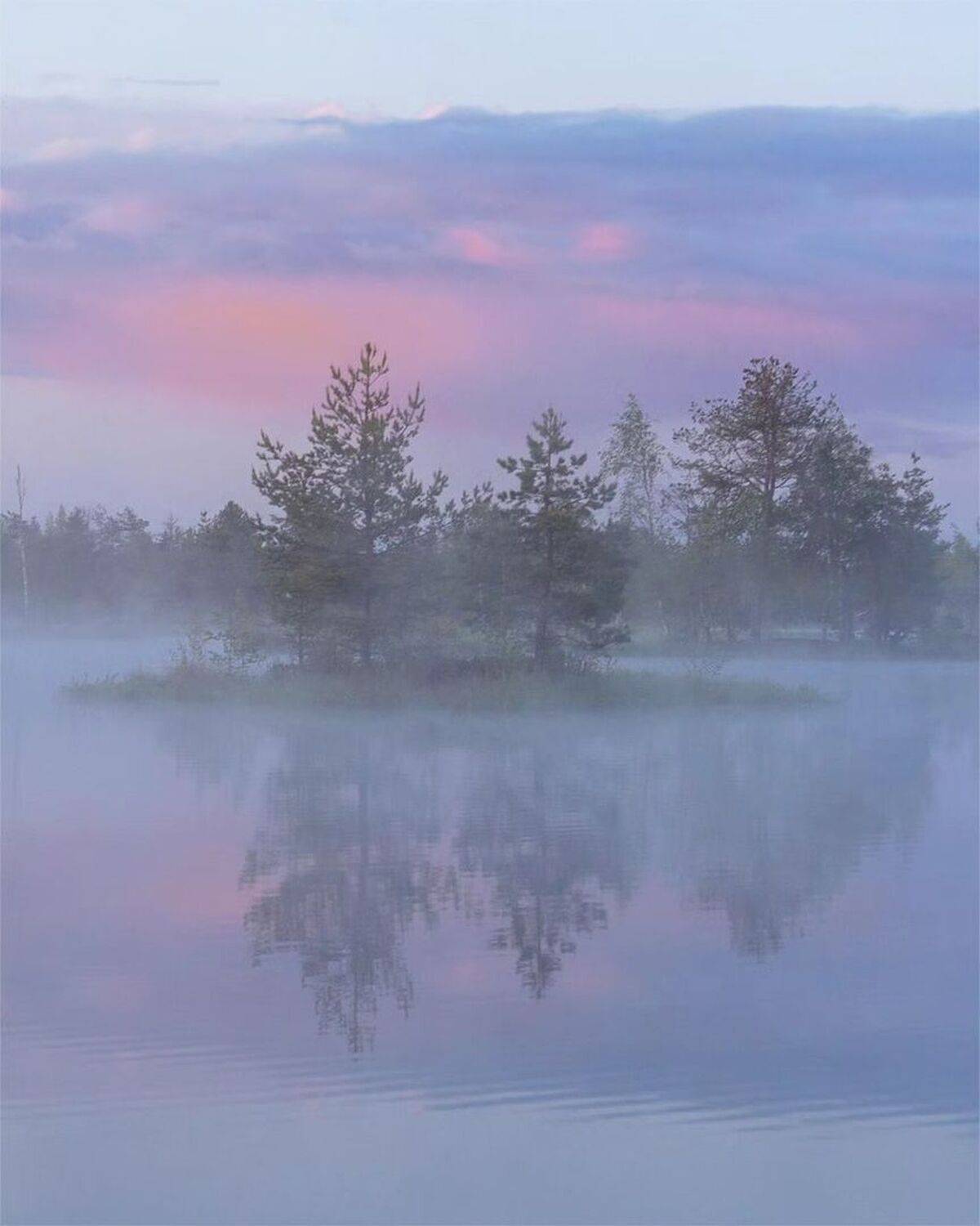 , Петр Косых