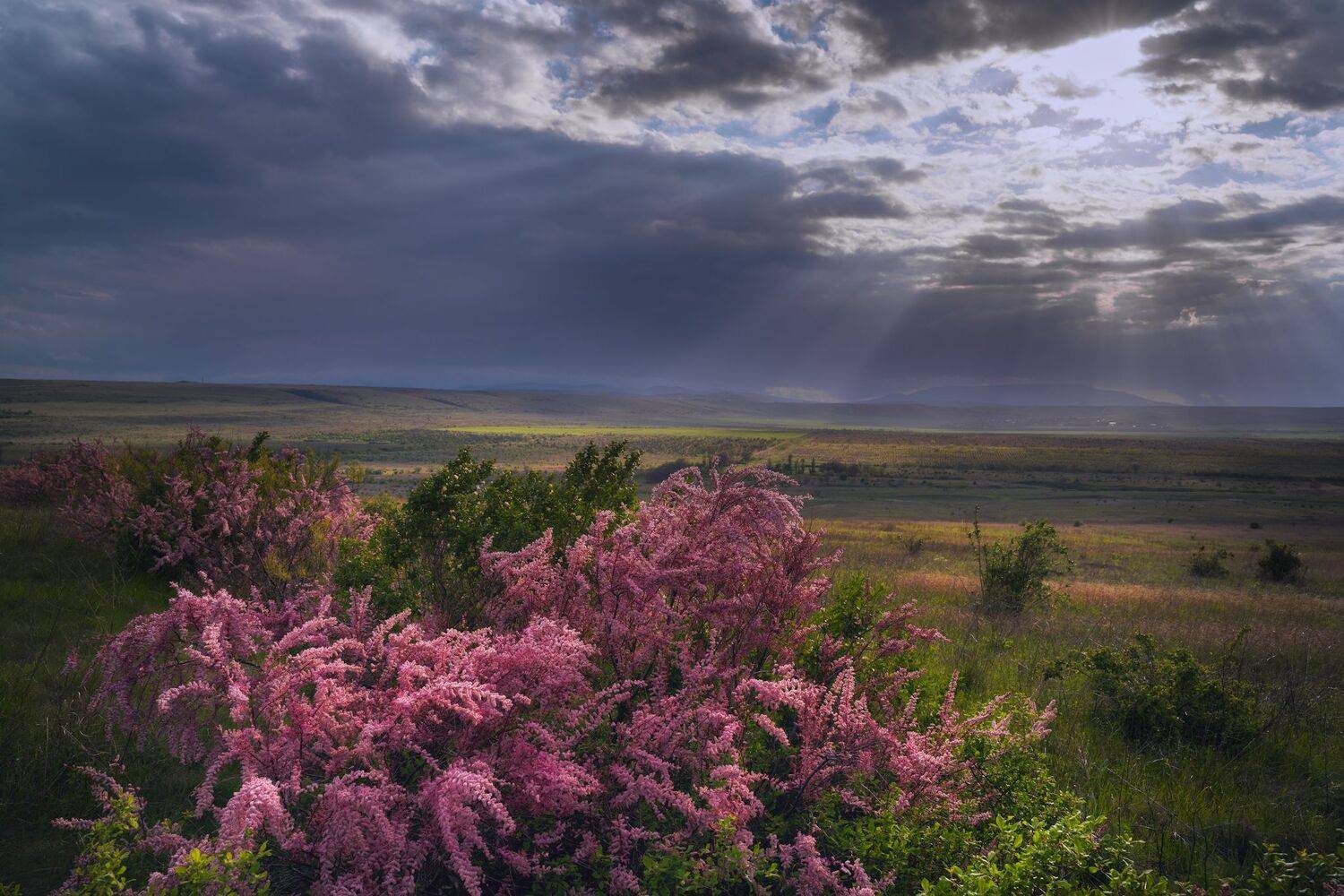 , Юлия Мальцева