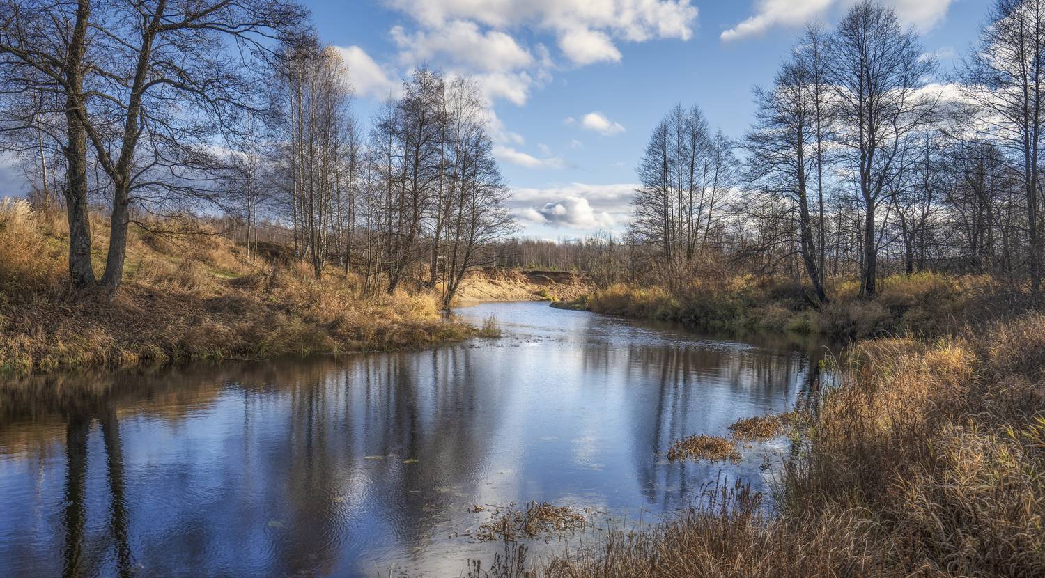 река, деревья, небо, Колесов Андрей