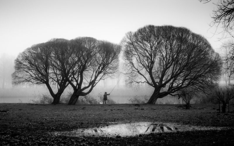 Претендентская публикация фото превью