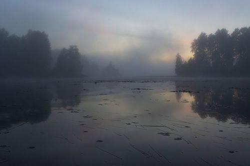 Затуманенный вечер