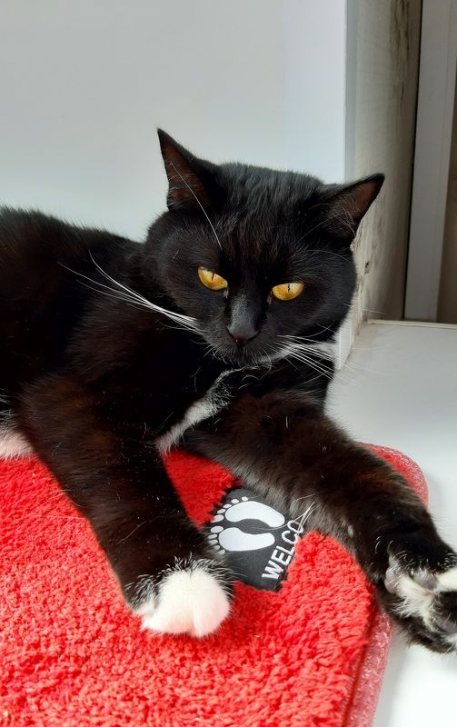 Красное и чёрное фото превью