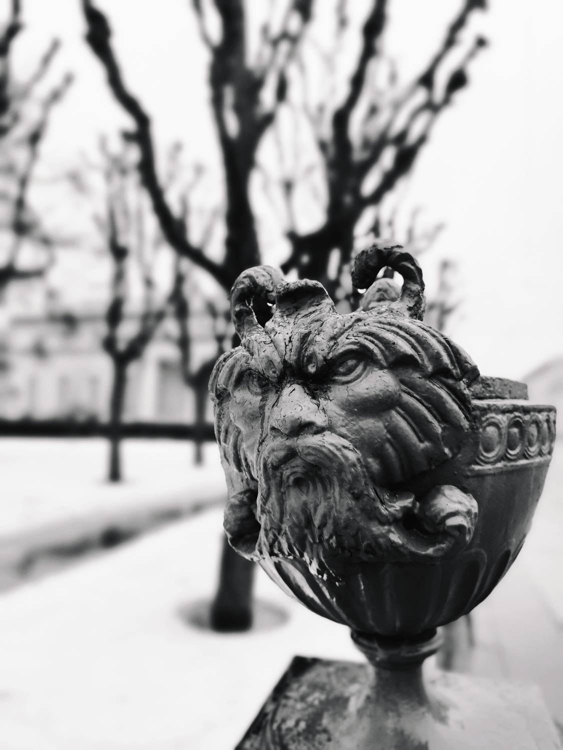 Питер весна, Дмитрий Антонов