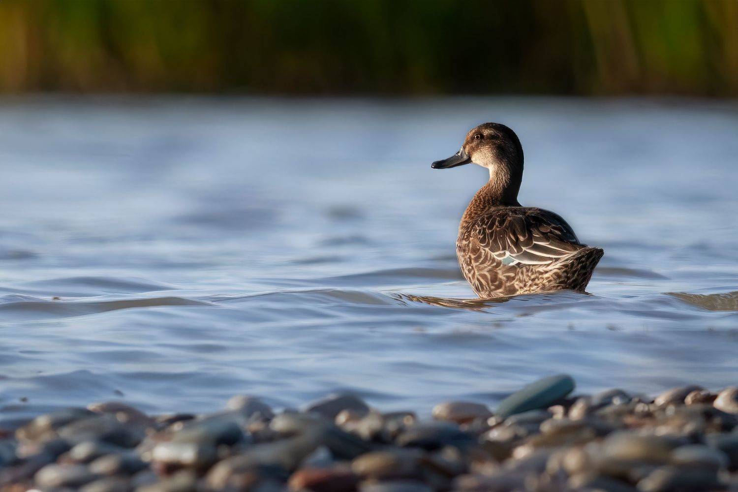 , Марат Кучкаев