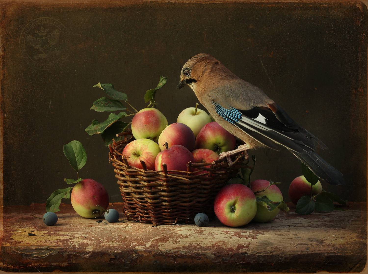 сойка, Хромушин Олег