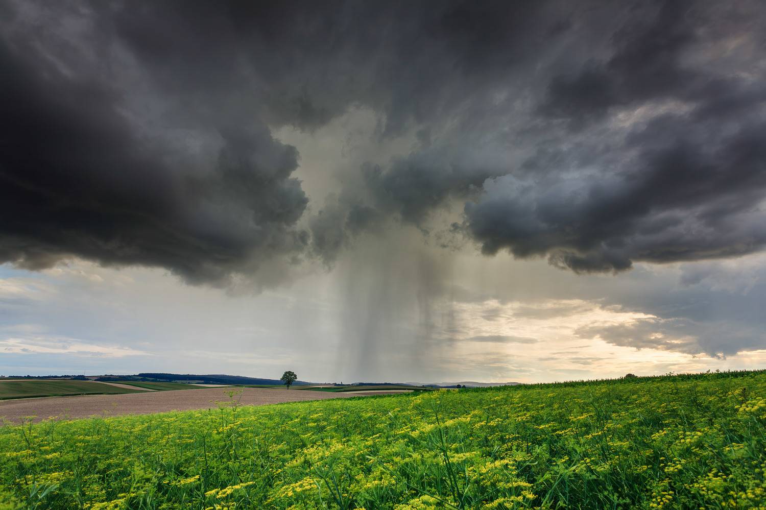 ,  Mirosław Pruchnicki
