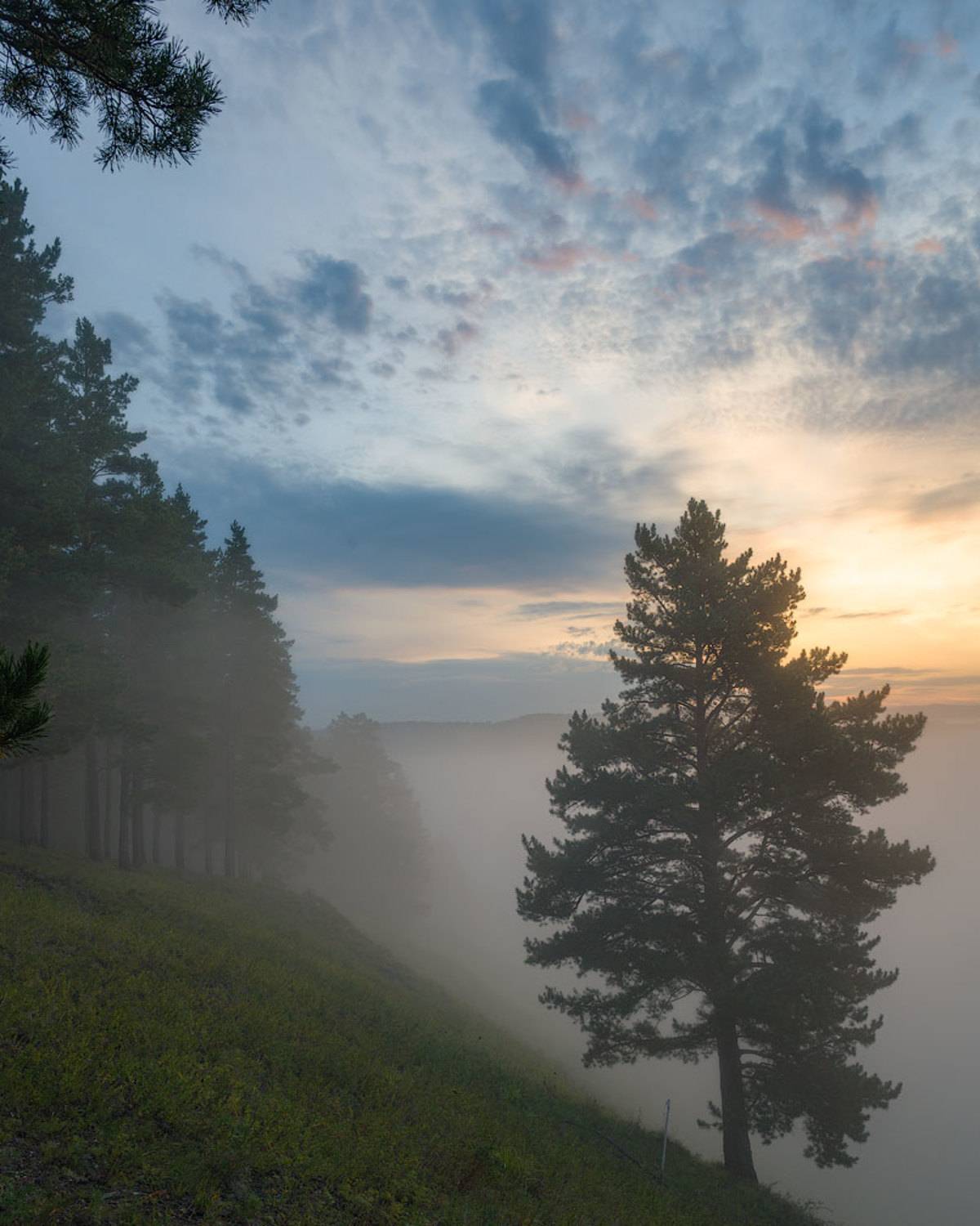 , Сергей Брагин