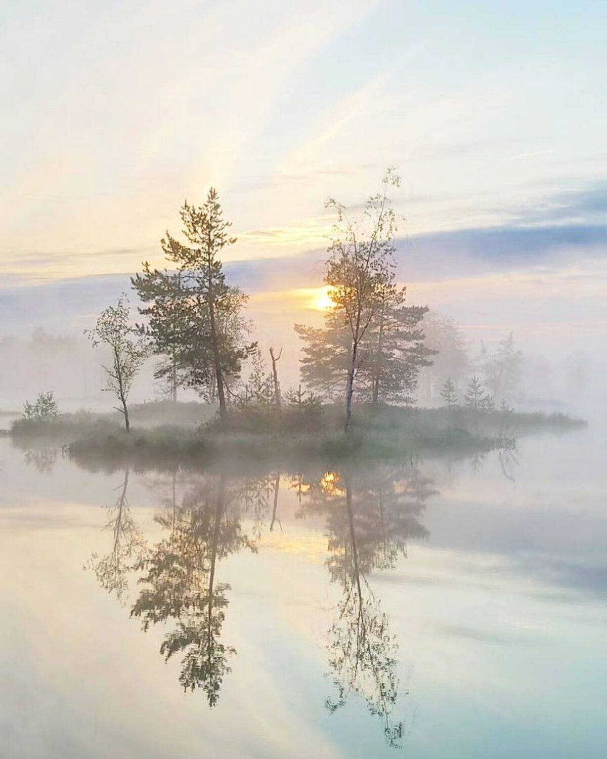 , Петр Косых