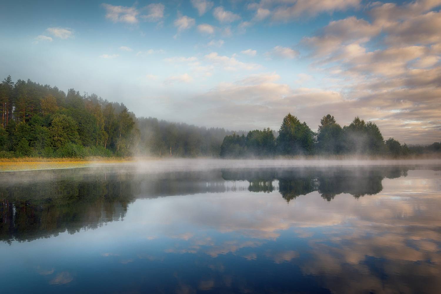 утро, туман, Сергей Аникин