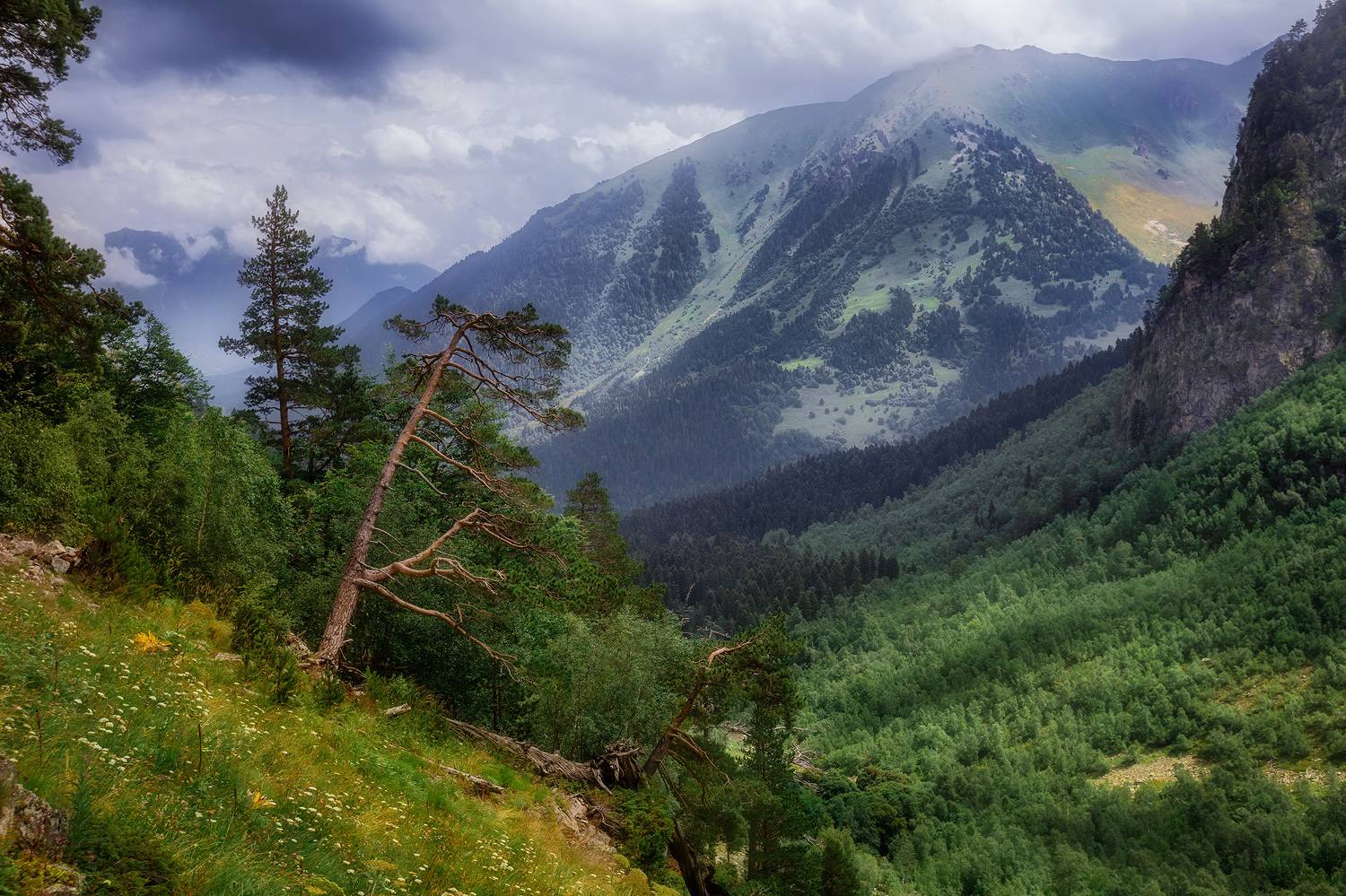 , Костенко Александр