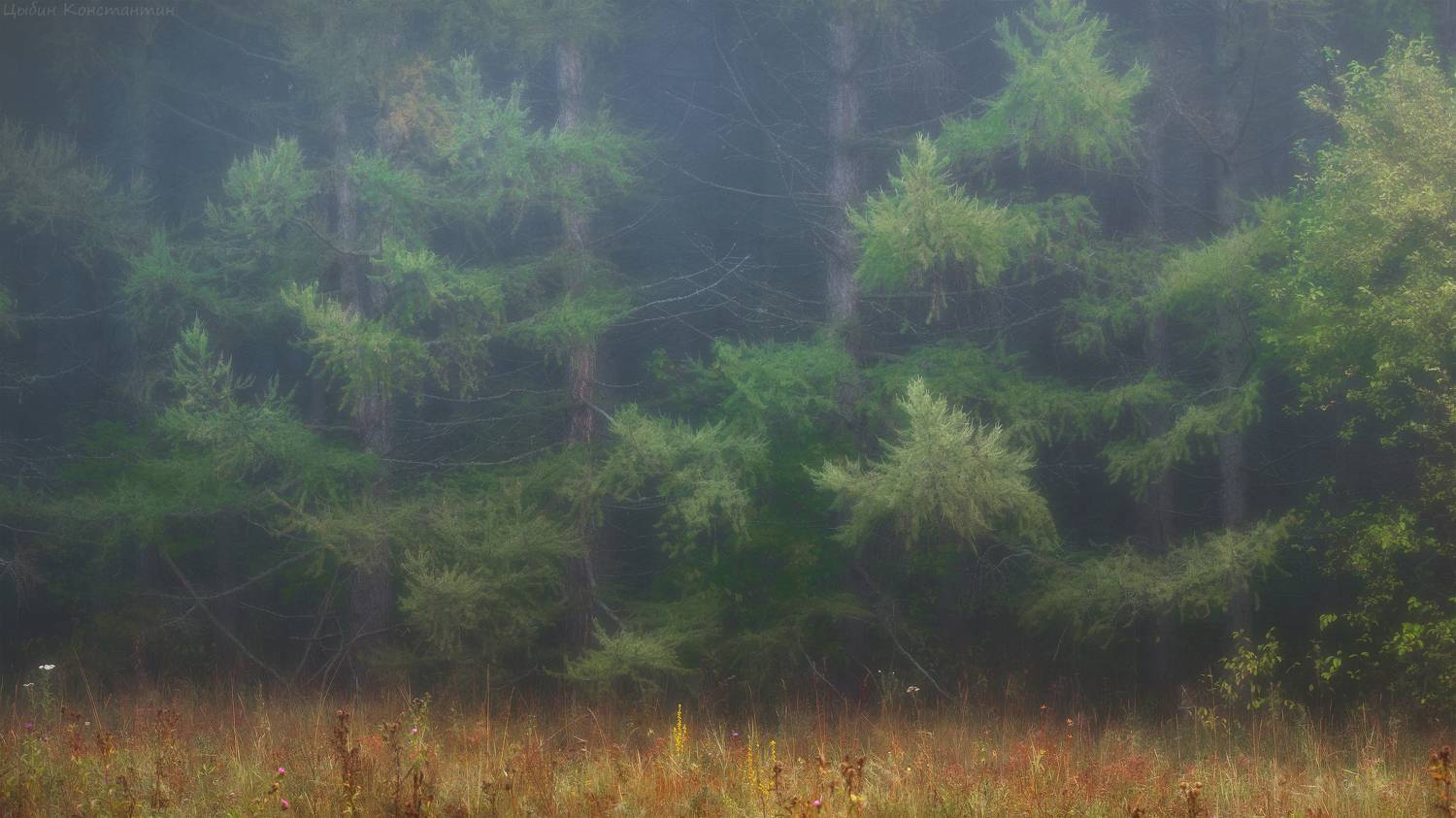 , Цыбин Константин