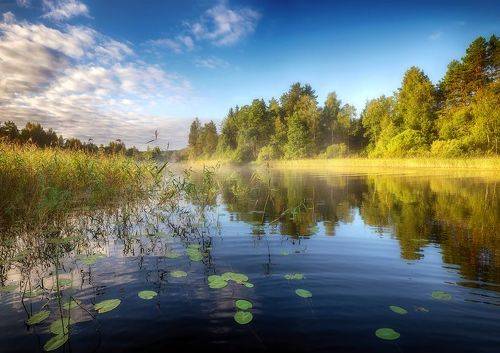 Яркий рассвет