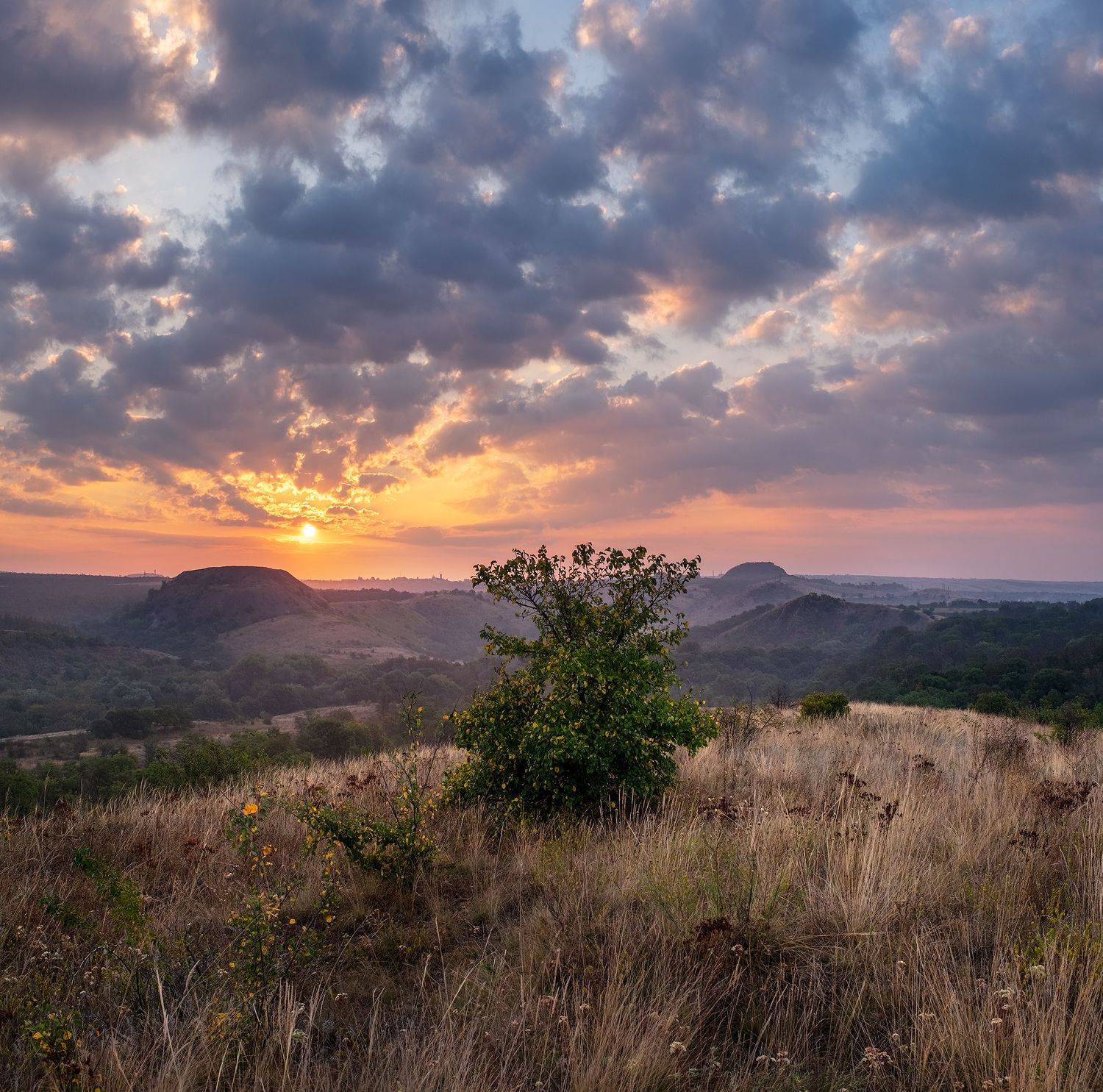 , Дитковский Евгений