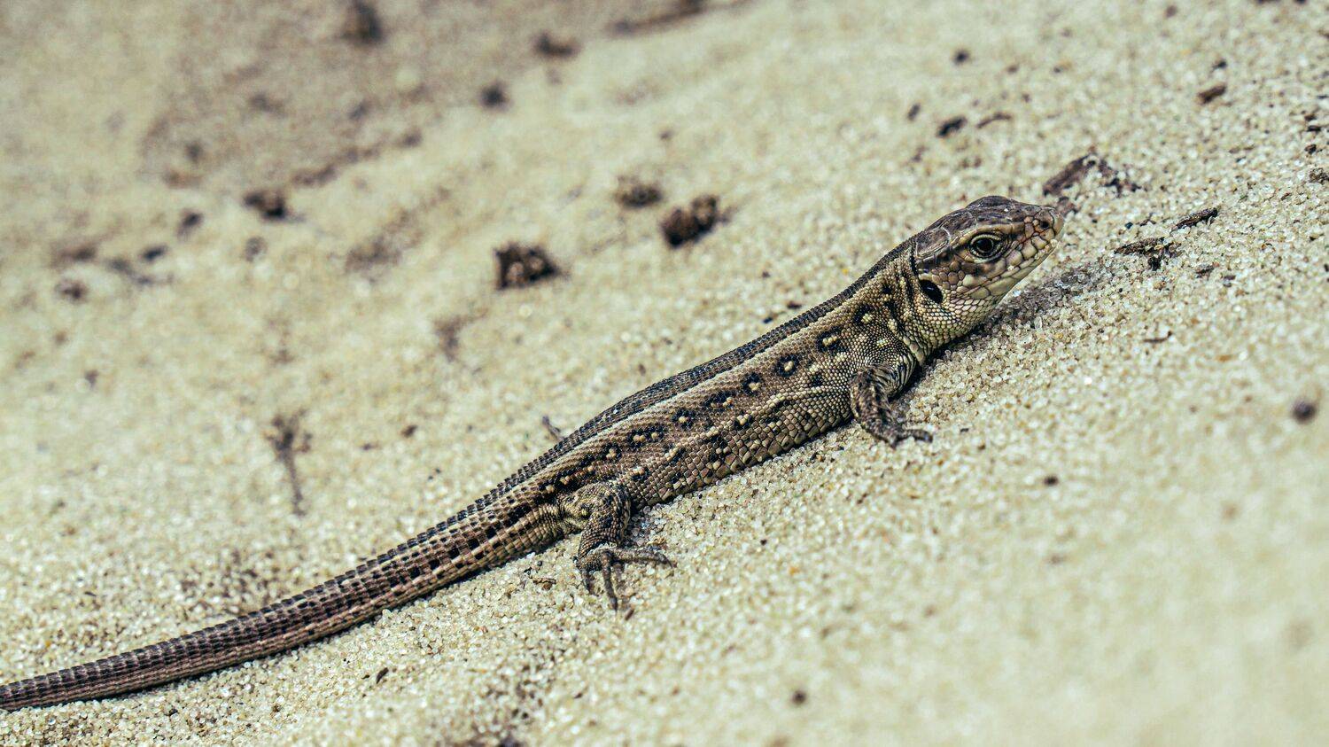 , Вертиков Юрий