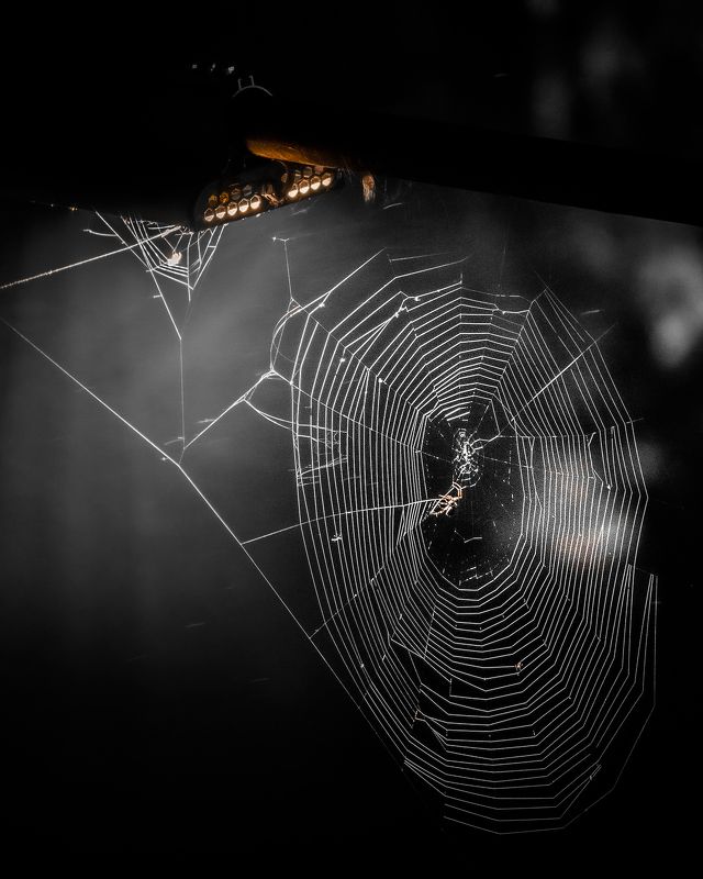 За работой  фото превью