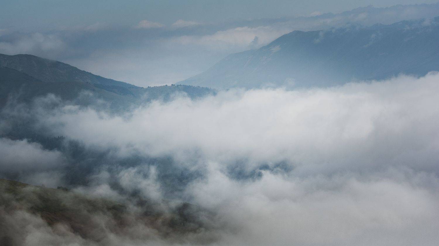 , Юрий Пужалин