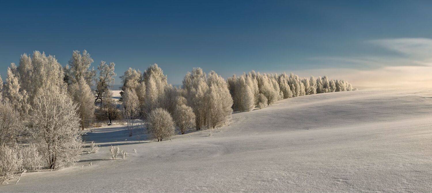 , Алексей Хахлов