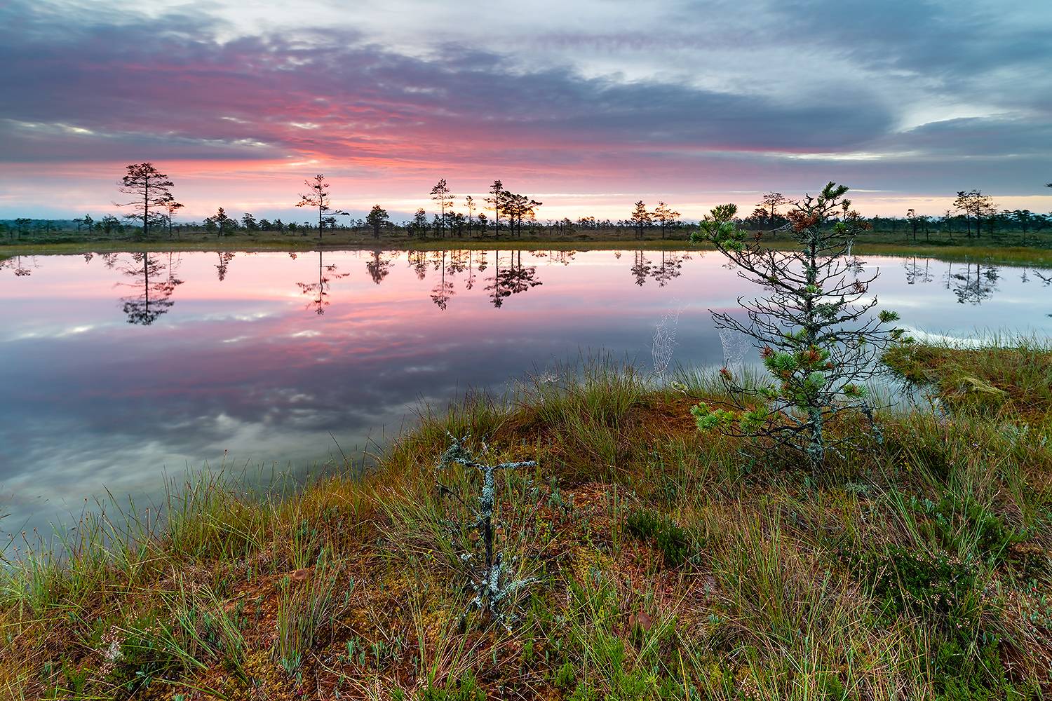 , Александр Абросимов