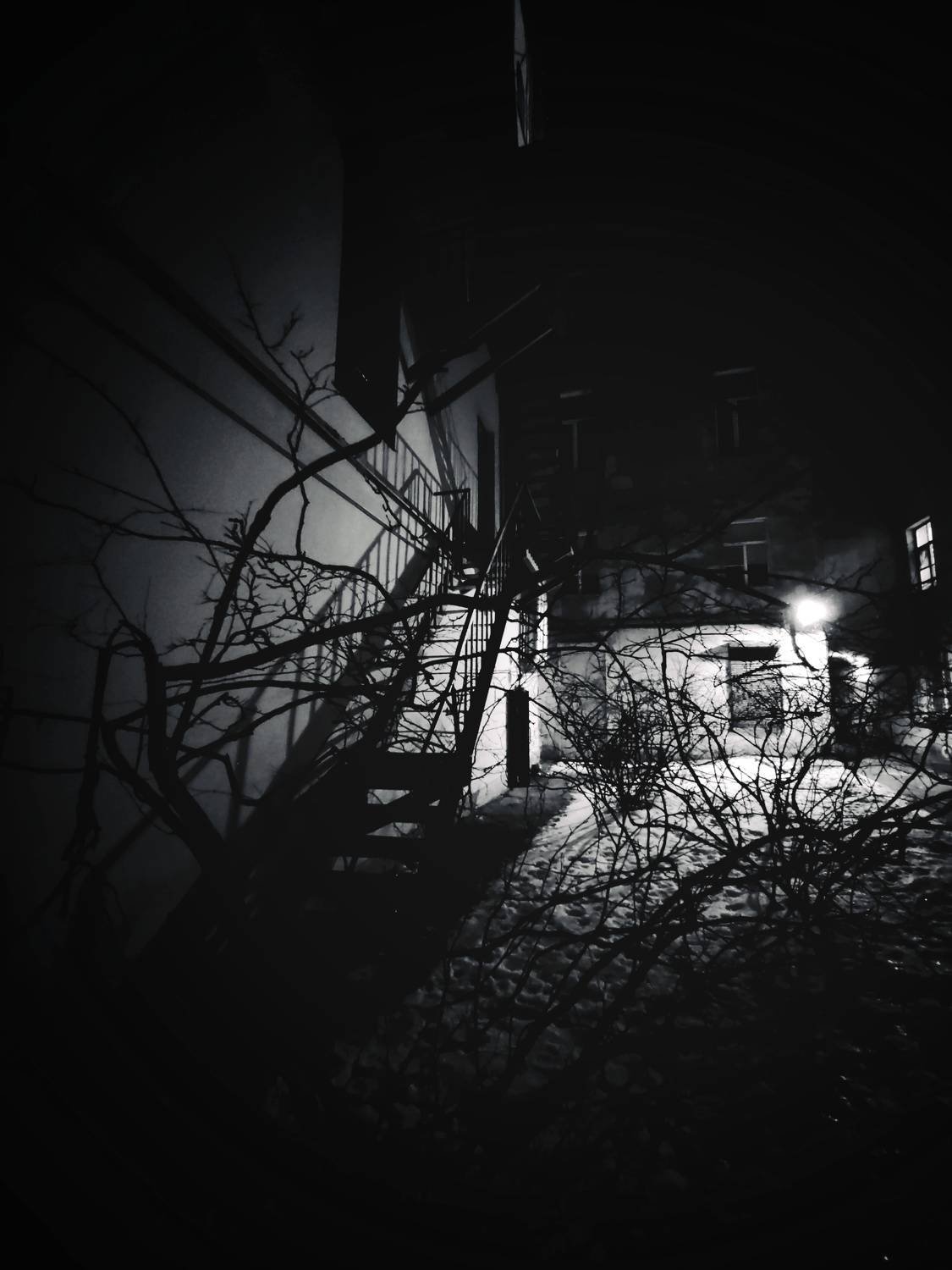 Питер весна, Дмитрий Антонов