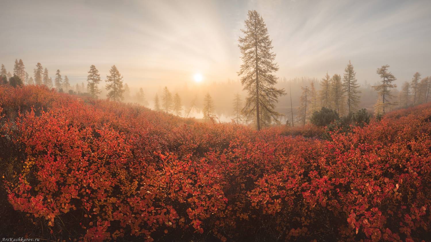 колыма, озеро джека лондона, стоозерка, магаданская область, дальний восток, лиственницы, лесотундра, тайга, брезка миддендорфа, Арсений Кашкаров