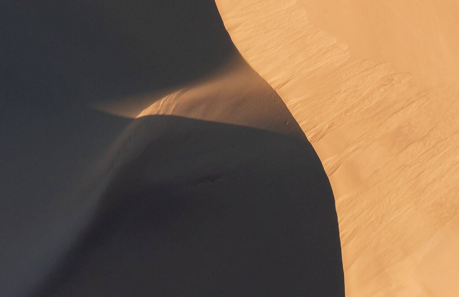 казахстан алтын_емель алтынемель, Кутыгин Эдуард