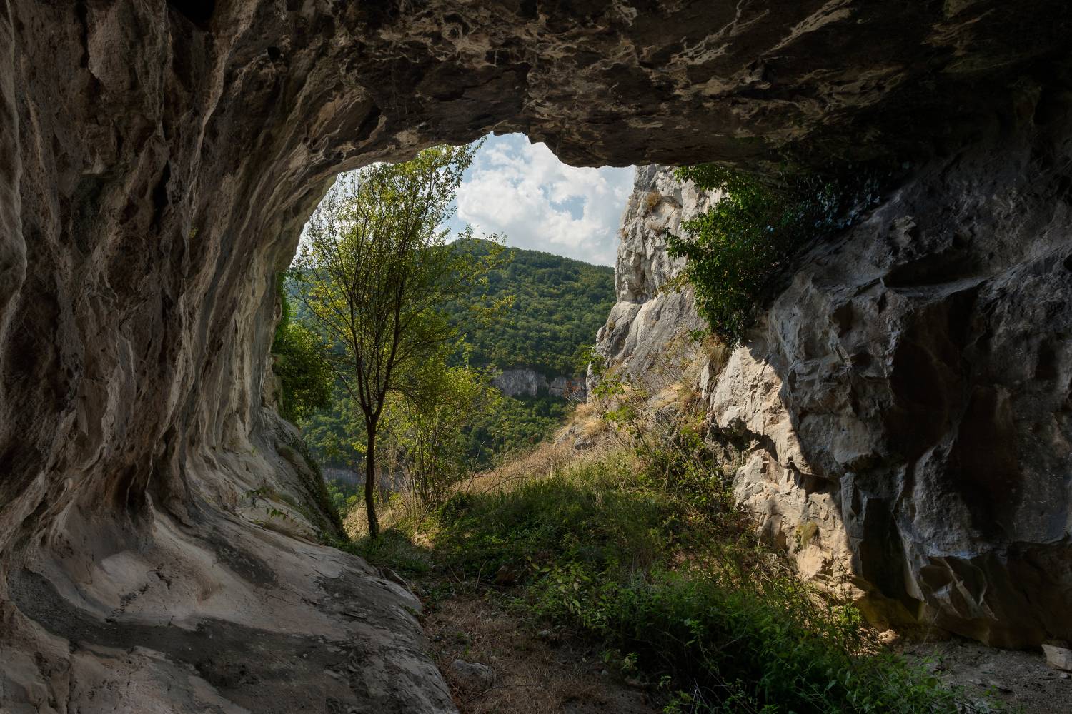 , Александър Сандев