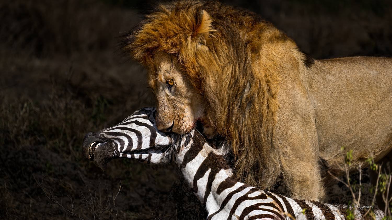 , Николай Мозгунов