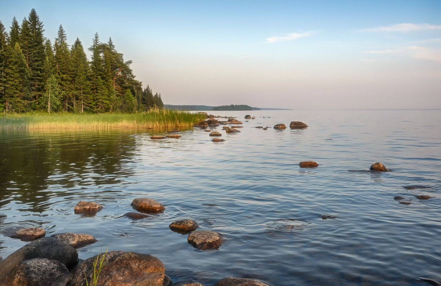 озеро сосны камни, Вера Петри