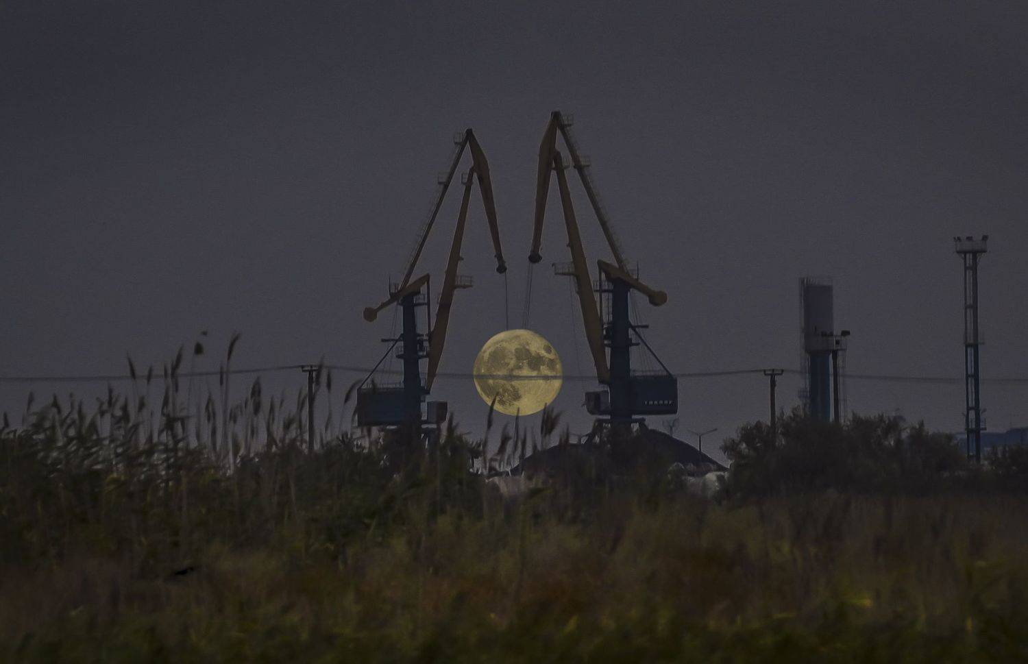 , Пирог Борис