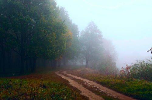 туманное утро