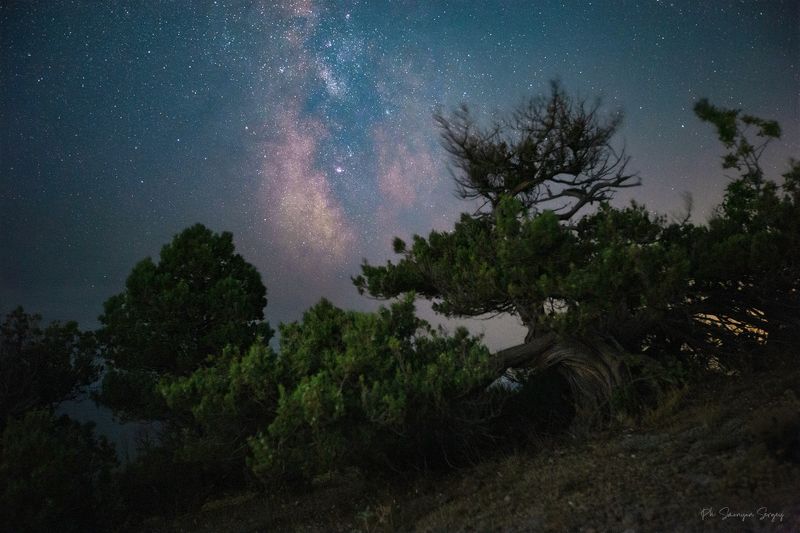 Под светом Млечного пути фото превью