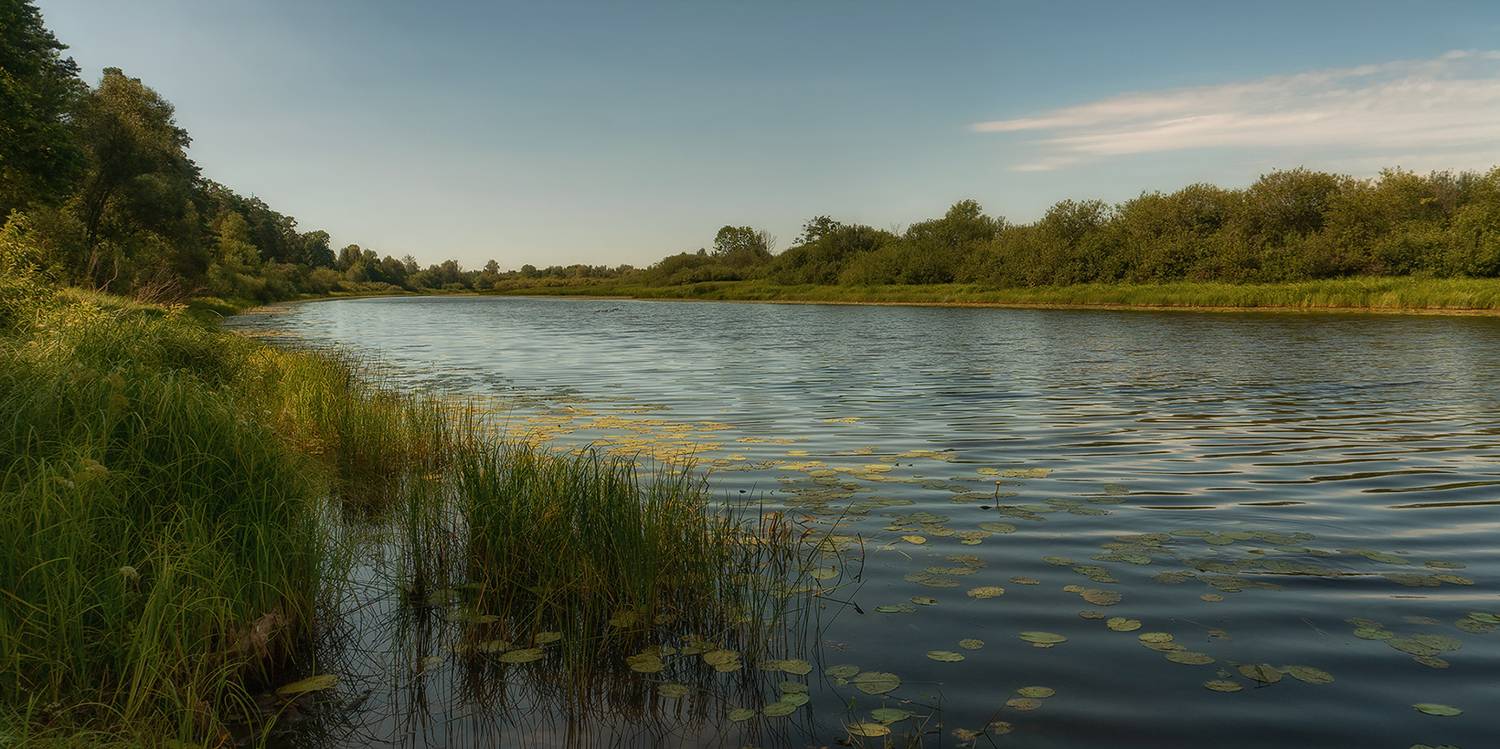 русло, река, лето, кувшинки, беларусь, Alexandr Zypin