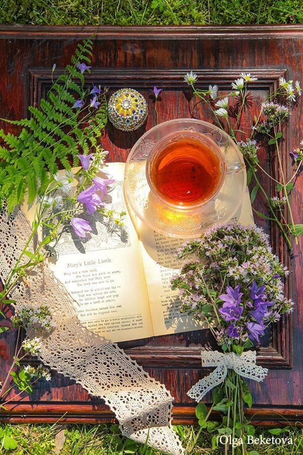 чашка, букетик, цветы, стихи, книга, Бекетова Ольга