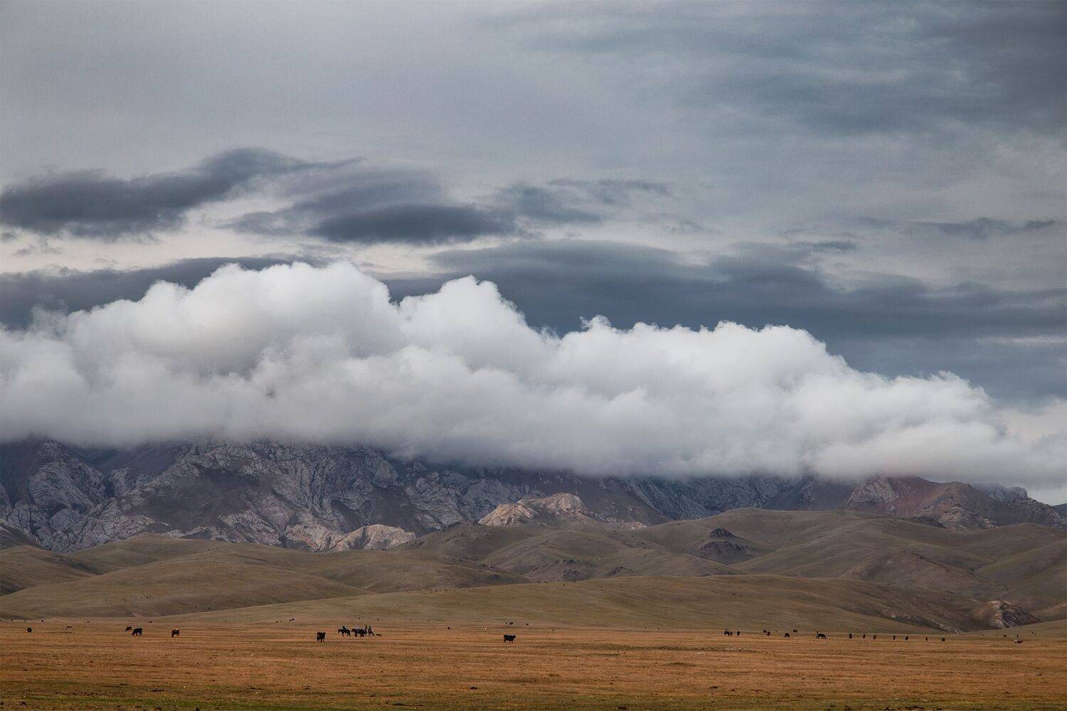 кыргызстан, сон-куль, Элина Магалимова