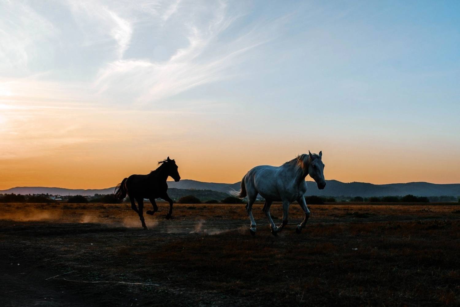 , Саша Урманов