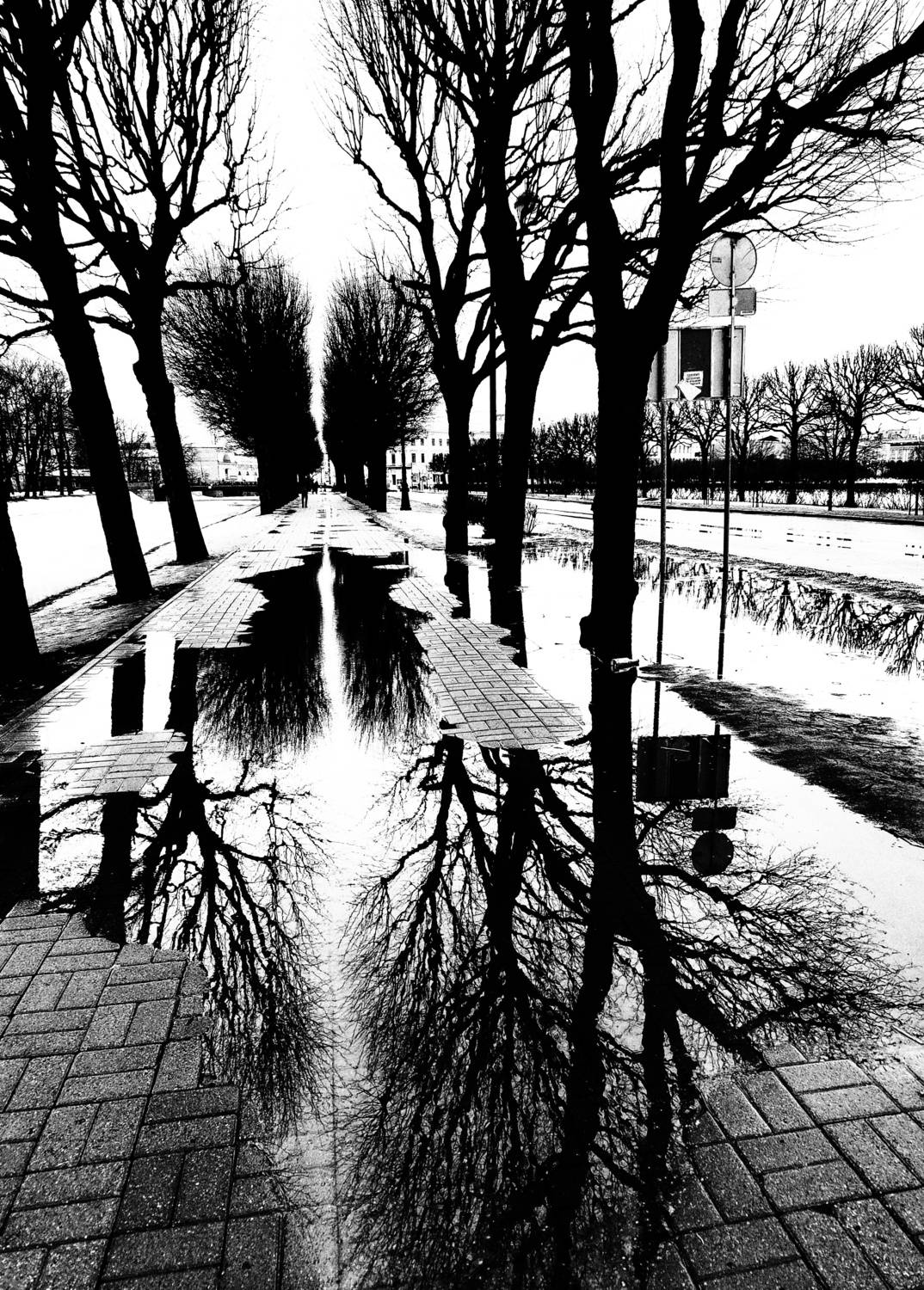 Питер весна, Дмитрий Антонов