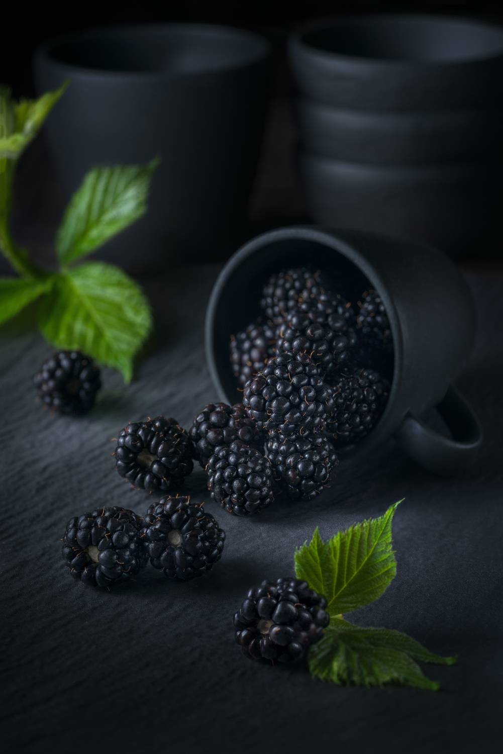 ежевика, ягоды, черный, натюрморт, ЯR Ольга