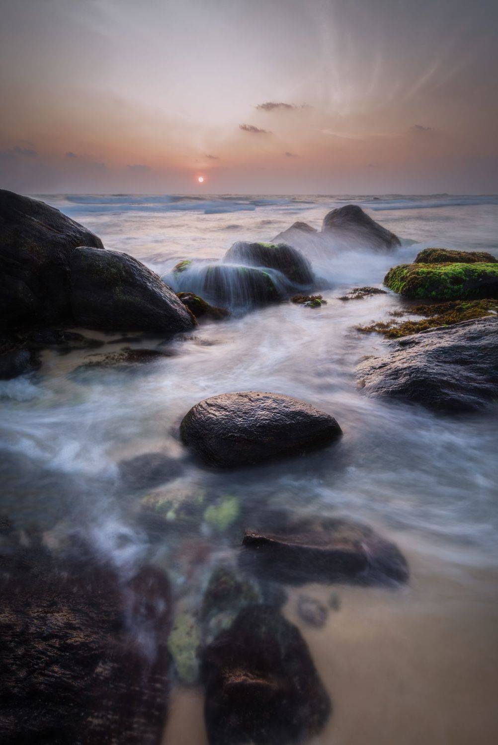 , Овчинникова Наталья