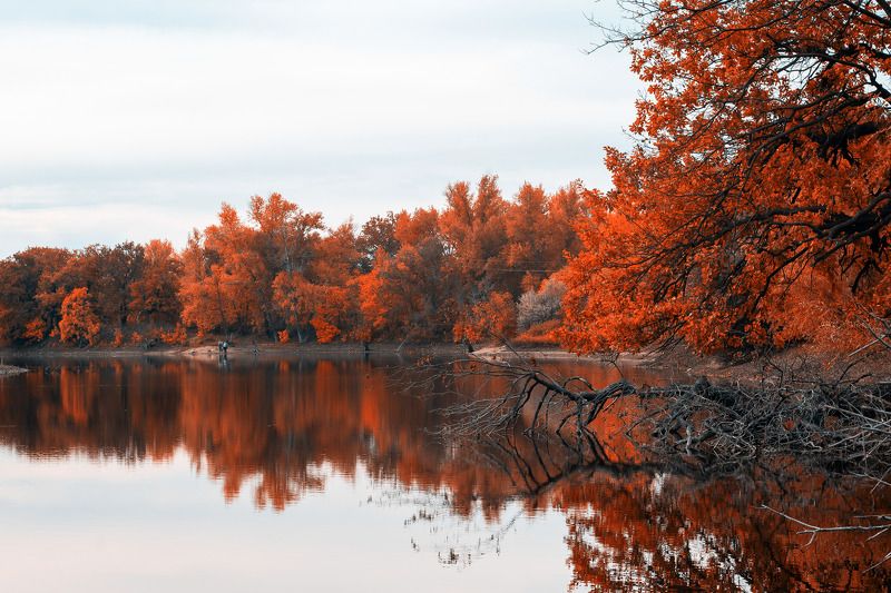 All red фото превью