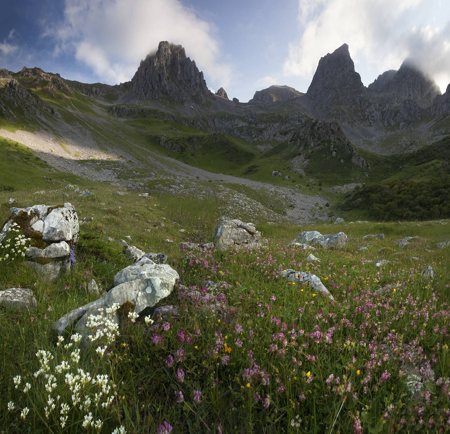 photography, mountain, spring, flower, landscape, photo, awakening, flowers, land, landmark, lands, dramatic ligth, ligth, mountains, jimenez millan samuel