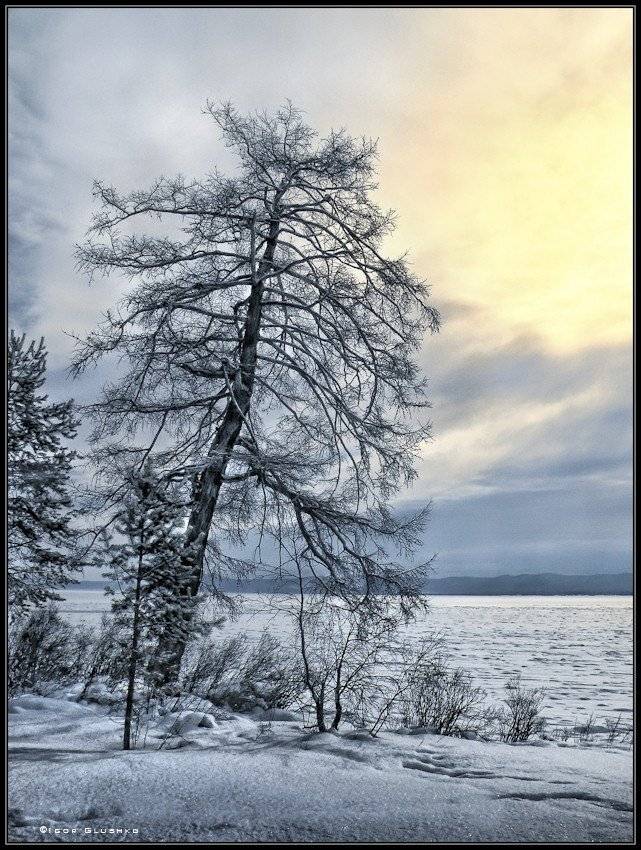 , Игорь Глушко